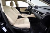 Used 2021 Lexus RX SUV