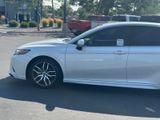 Used 2019 Toyota Camry Sedan
