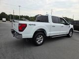 Used 2024 Ford F-150 Truck