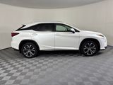 Used 2019 Lexus RX SUV