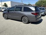 New 2026 Honda Odyssey Van