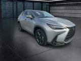 Used 2025 Lexus NX SUV