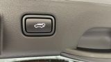 New 2026 Kia Seltos SUV