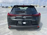 Used 2024 Lexus UX SUV
