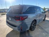 New 2026 Honda Odyssey Van