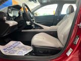 Used 2025 Hyundai Elantra Hybrid Sedan