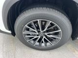 Used 2025 Lexus NX SUV