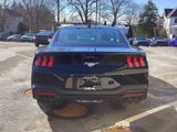 New 2026 Ford Mustang Coupe