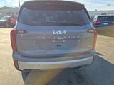 Used 2024 Kia Telluride SUV