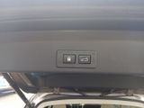 Ascent Limited 8 Passenger