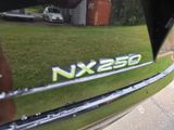 Used 2024 Lexus NX SUV