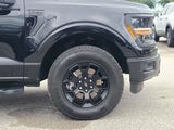 Used 2024 Ford F-150 Truck