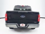 Used 2023 Ford F-150 Truck