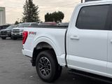 Used 2023 Ford F-150 Truck