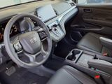 New 2026 Honda Odyssey Van