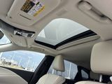 Used 2024 Lexus RX SUV