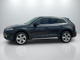 Used 2021 Audi Q5 SUV