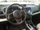 Ascent Limited 8 Passenger