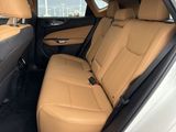 Used 2025 Lexus NX SUV