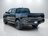 Used 2019 Toyota Tacoma Truck