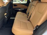 Used 2024 Lexus RX SUV