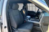 Used 2019 Ford F-150 Truck