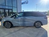 New 2026 Honda Odyssey Van