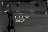 New 2026 Honda CR-V SUV