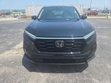Used 2025 Honda CR-V SUV