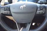 Used 2025 Ford Bronco Sport SUV