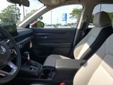 New 2026 Honda CR-V SUV