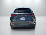 Used 2025 Lexus NX SUV