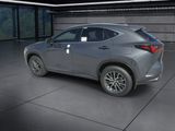 Used 2025 Lexus NX SUV