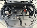 Used 2025 Lexus NX SUV