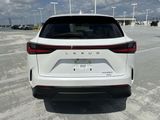 Used 2024 Lexus NX SUV