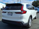 Used 2025 Honda CR-V SUV