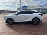 Used 2024 Lexus RX SUV
