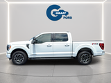 Used 2023 Ford F-150 Truck