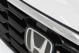 Used 2025 Honda Pilot SUV