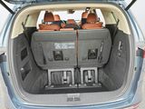 Used 2024 Kia Carnival Van