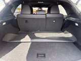 Used 2021 Lexus NX SUV
