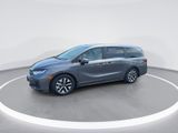 Used 2026 Honda Odyssey Van
