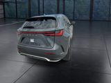 Used 2022 Lexus NX SUV