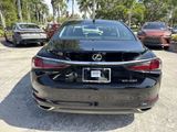 Used 2019 Lexus ES Sedan