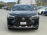 Used 2024 Lexus NX SUV