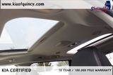 Used 2024 Kia Carnival Van
