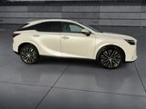 Used 2024 Lexus RX SUV