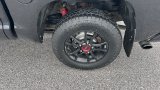 Used 2019 Toyota Tundra Truck