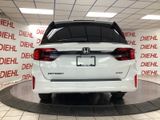 New 2026 Honda Odyssey Van