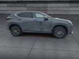 Used 2024 Lexus NX SUV